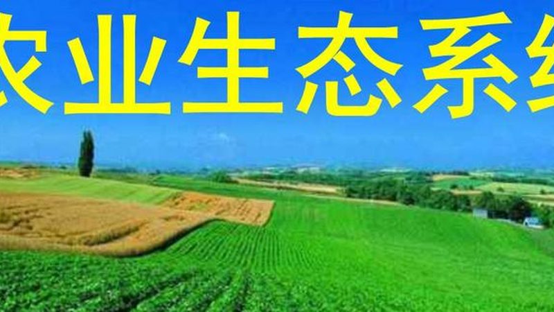 智能灌溉系统：如何避免常见误区，提升灌溉效率