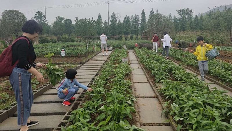 智慧农业设备材质分类：选择与维护的关键