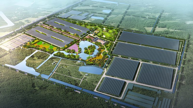 果蔬配送区域代理加盟：标准规范与市场洞察