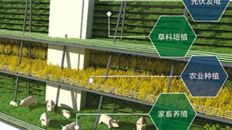 行业痛点：传统采购模式的困境