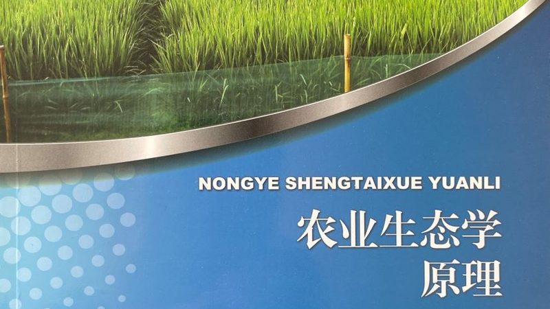 2025年有机蔬菜价格走势：趋势与影响因素分析