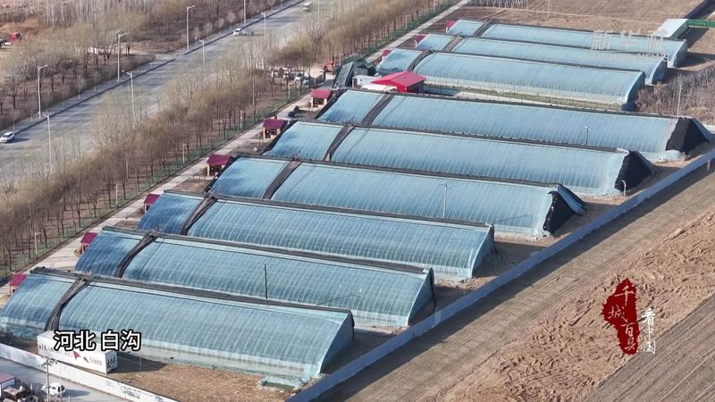 成都农业合作社加盟，如何选择优质平台？**
