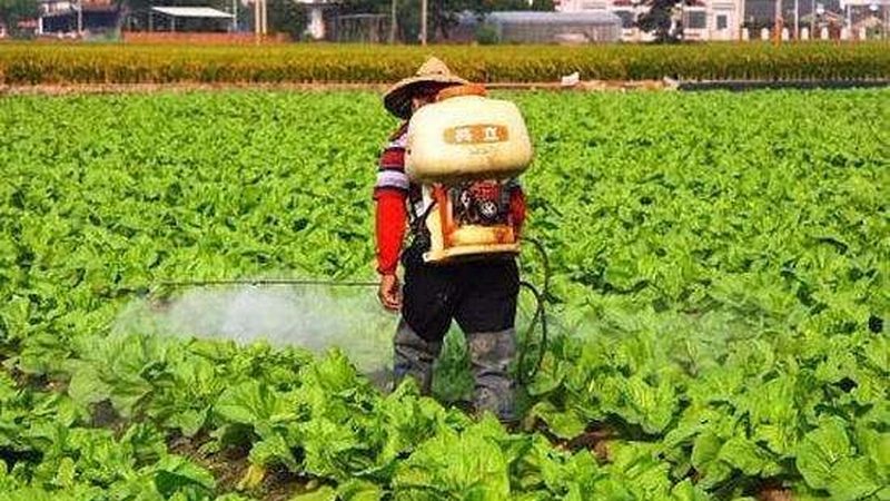 农资招标信息，到底该上哪找才靠谱