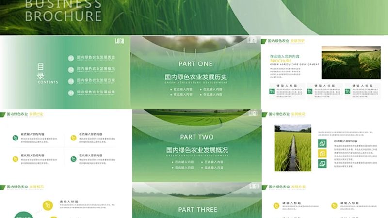 乡村旅游规划方案：打造乡村振兴的美丽蓝图